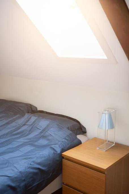 Central Apt. Close To City Centre 特隆赫姆 外观 照片