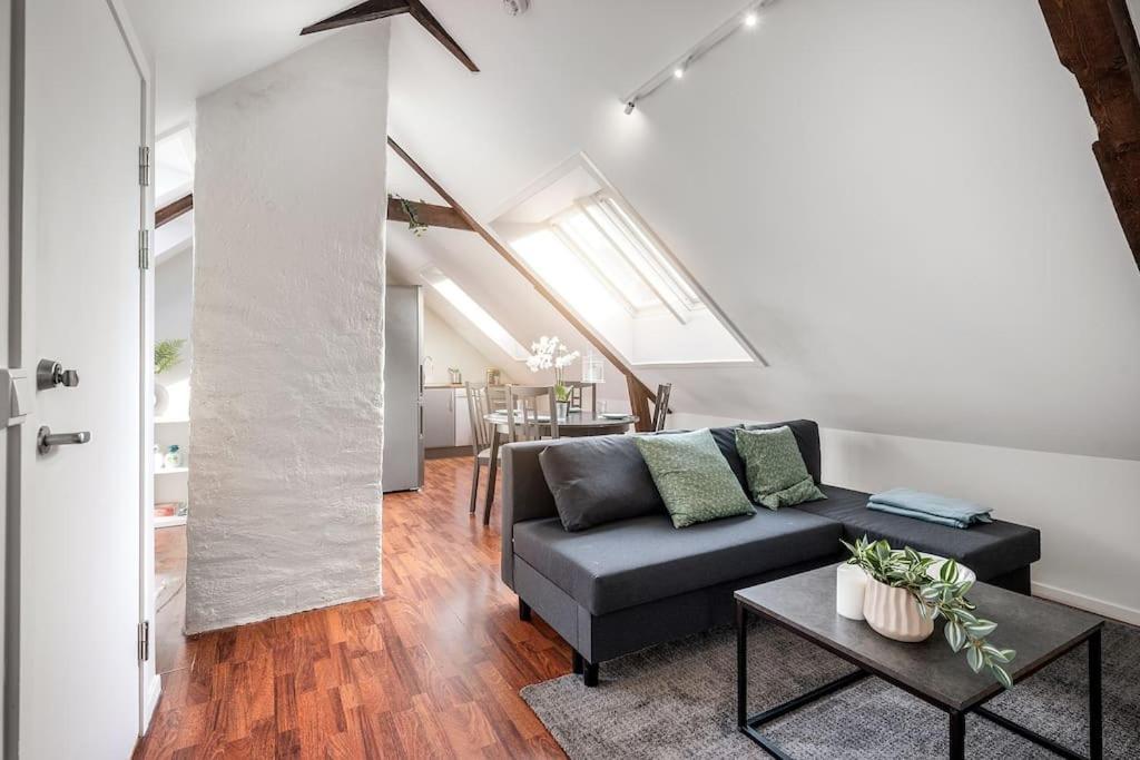 Central Apt. Close To City Centre 特隆赫姆 外观 照片